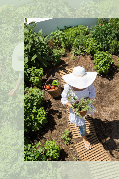 Odyssey Eco Farm Glamping